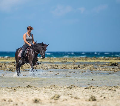 Beach horse riding