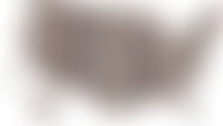 A spectacle of the candidates on immigration