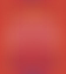 Cérebro e Meditação