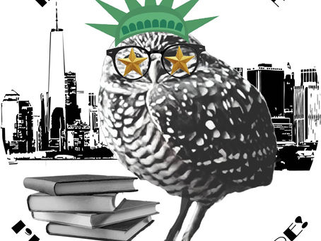 The Burrowing Owl Does Broadway!