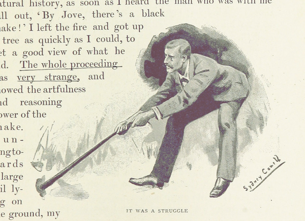 Man tugging on what appears to be a tail of some kind.