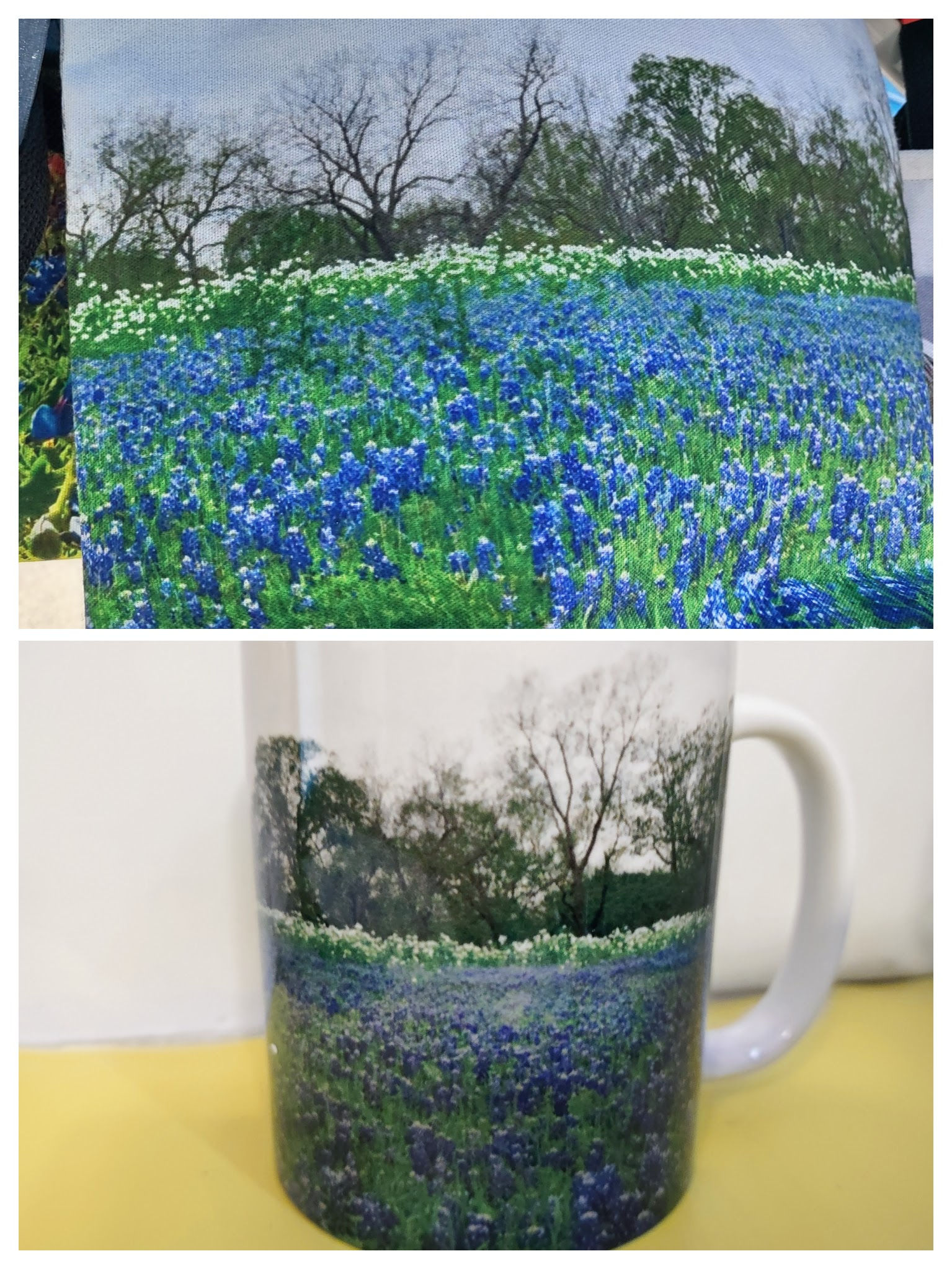Blue Bonnet Tote Bag & Mug