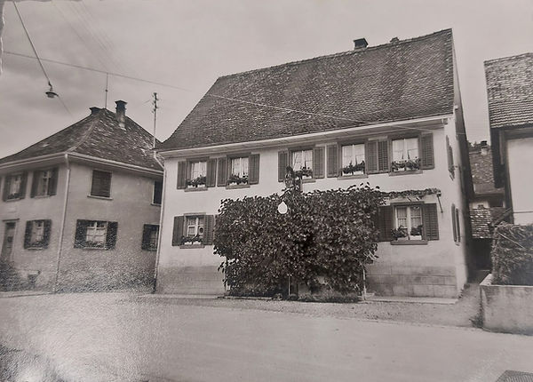Traube 1954.jpg