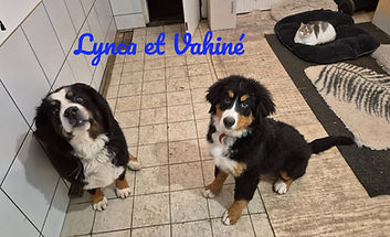 Lynca et Vahiné_edited_edited.jpg