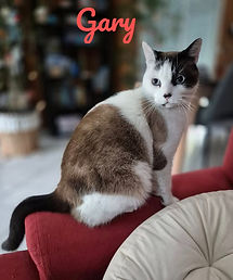 Gary_edited.jpg
