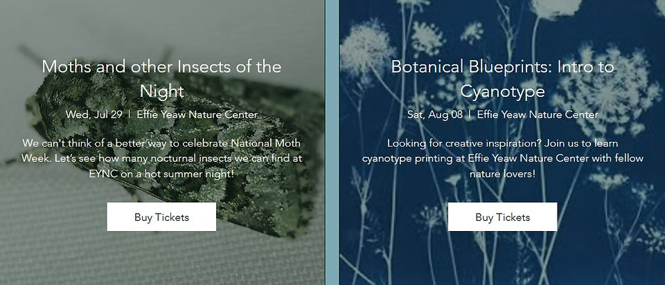 NOT Events.jpg