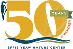 EYNC 50 Years of Wonder Logo
