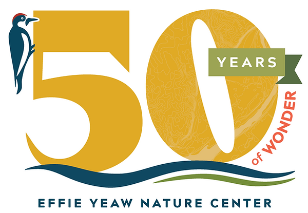 EYNC 50 Years Logo Wonder.png