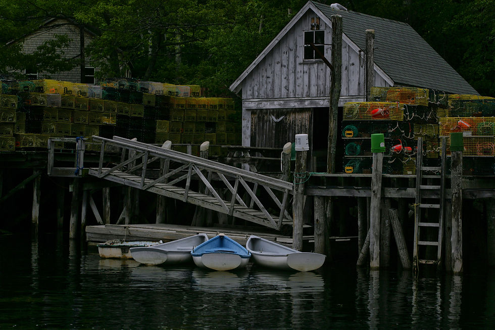 Dingies of Back Cove 