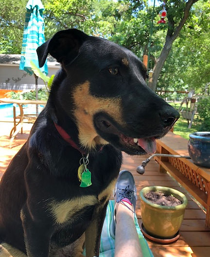 Bailey's Story