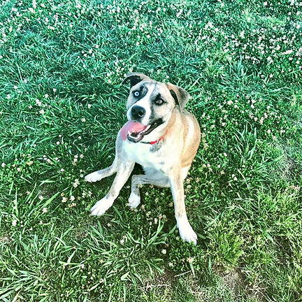 Osa's Story