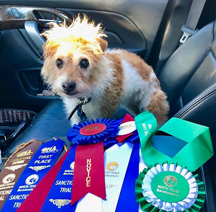 Dixie's Story