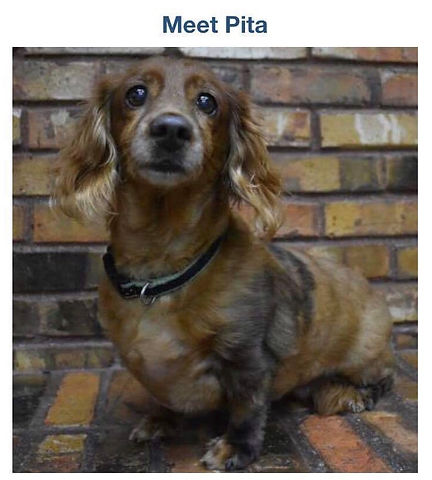 Pita's Story