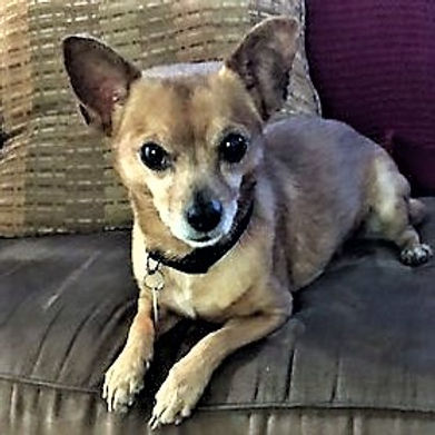 Humphrey's Story