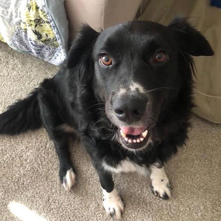Kodi's Story