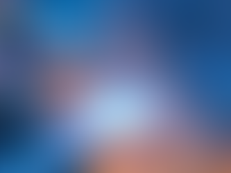 Traits That Matter: What 400 Senior Officers Say About Interim Success in Local Government