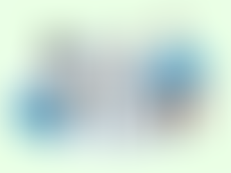 Assessing and Optimising Organisational Culture in Local Government: The Role of the Organisational Culture Inventory (OCI)