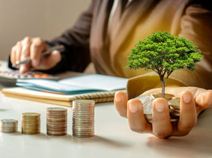 The Human Side of Budgeting: Lessons for Local Government Officers and Members