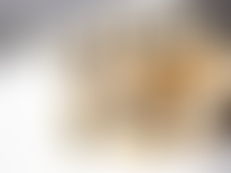 Leadership advice for S151 Officers.