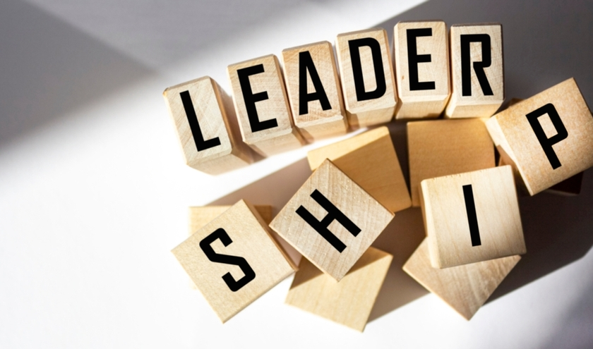 Leadership advice for S151 Officers.