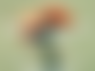 Are We Fixating on the 10% and Sailing Past the 90%?