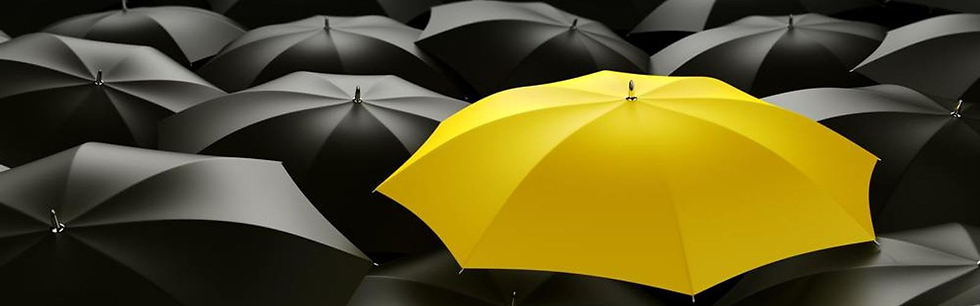 Umbrella Reform and Local Government Contracting: What You Need to Know Before April 2026