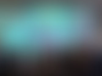 A Journey of Integration, Identity and Impact