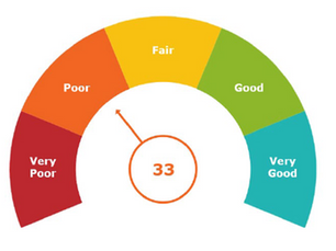 Barrett Culture Score