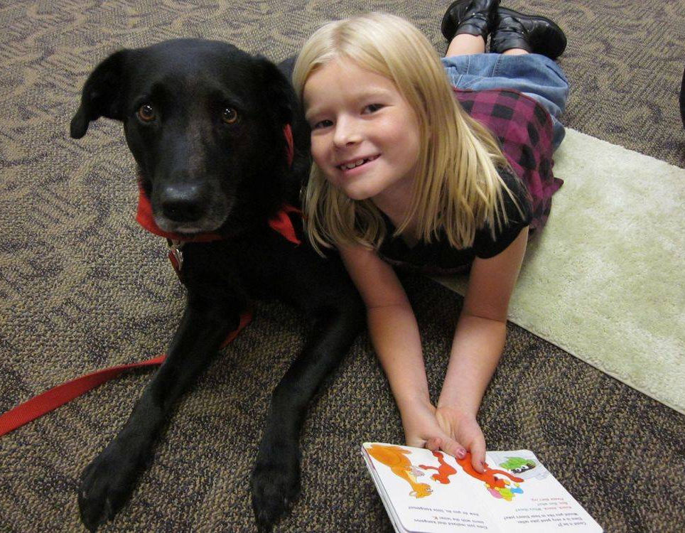 Therapy dog with child