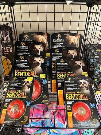 581937124_1642070467137678_8109492141433591881_n (1).jpg