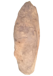 A light brown rock with rough edges set against a white backdrop.