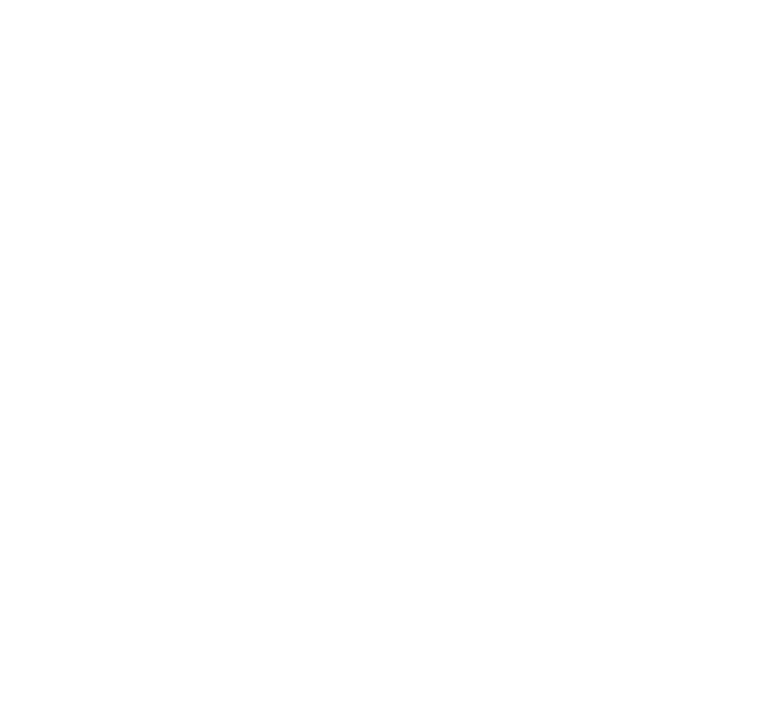 Logo Vectorizado blanco.png