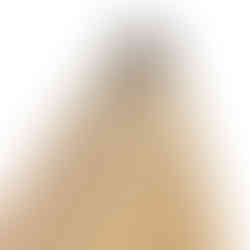 Long, light brown lumber with a split and texture, possibly Highly Figured Mahogany.