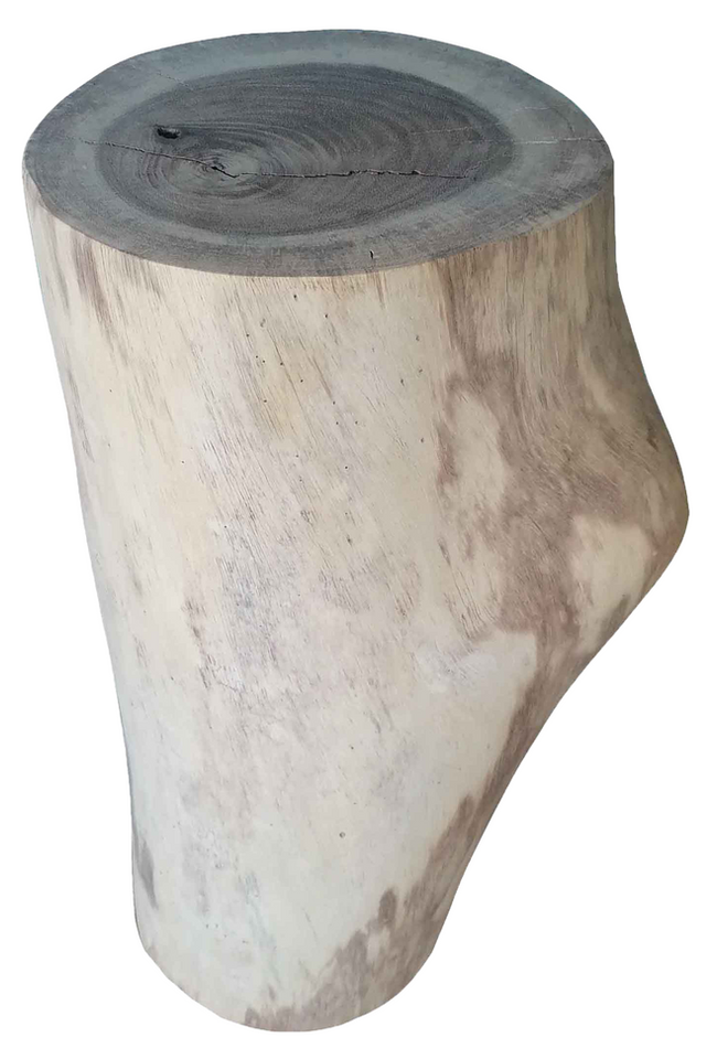 Wood stump isolated. Sanded Spanish Cedar Veneer 1/4″ thick – 10 Square Feet. Diamond Tropical Hardwoods.