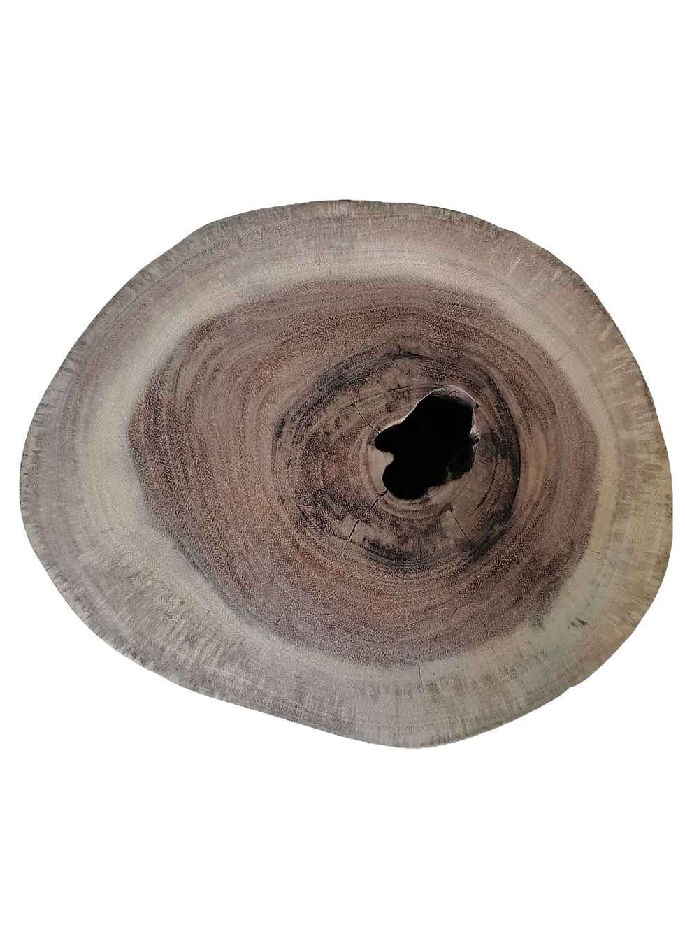 Wood slab cross section, with a dark hole in the center. Diamond Tropical Hardwoods