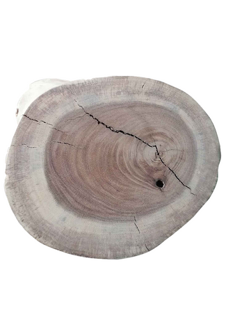 Cross-section of tree trunk shows rings and cracks; Diamond Tropical Hardwoods.