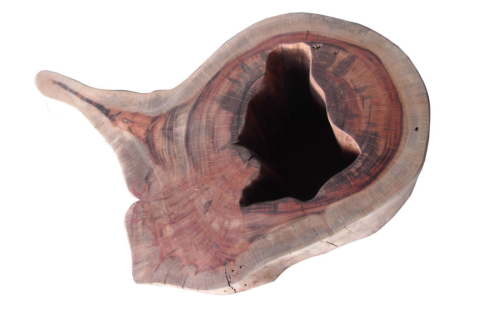 Sanded Goncalo Alves Base