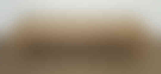 Wooden table with a crack. Diamond Tropical Hardwoods construction and simple design.