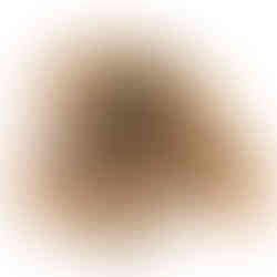 Wooden stool with a unique shape Sanded Stool T3047 and Diamond Tropical Hardwoods.