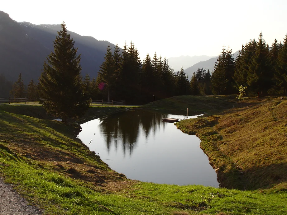 natur3.webp