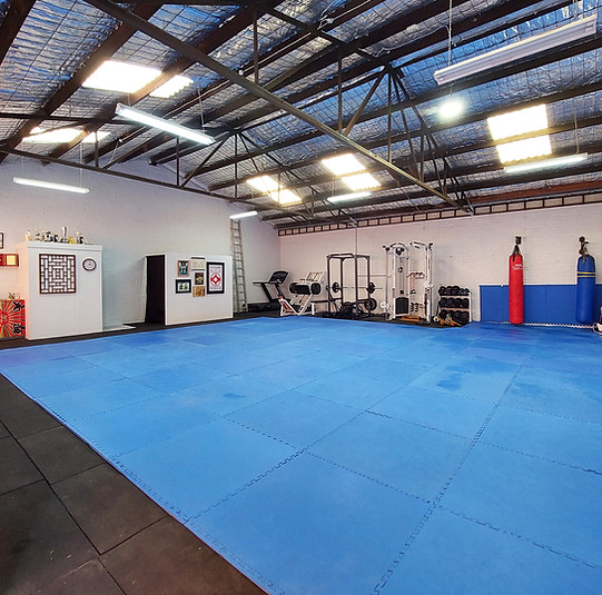 Dojo Looking In.jpg
