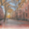 Maya Ravinsky, professional RE_MAX Realtor and real estate investment specialist in Greate