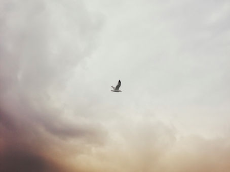 God with You and in You