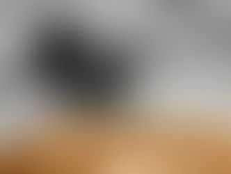 Reading Outside the Box