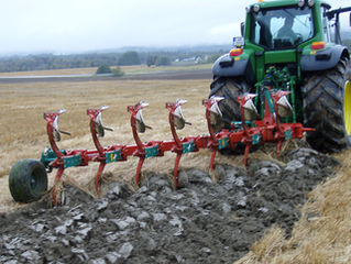 Looking forward, not back