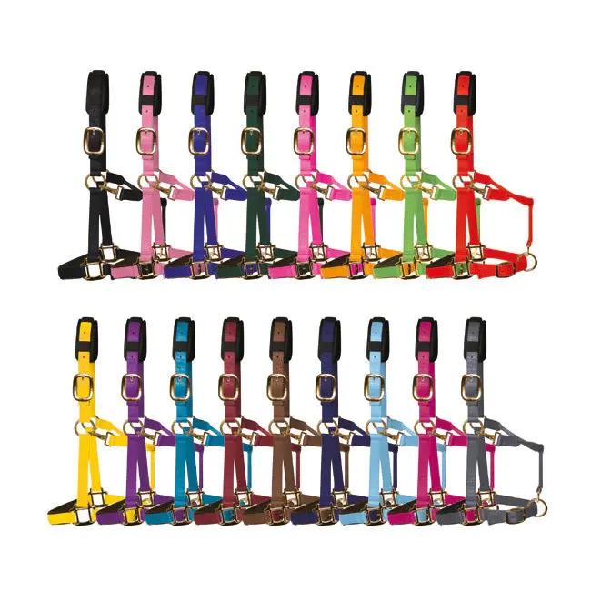 KM ELITE HEADCOLLAR