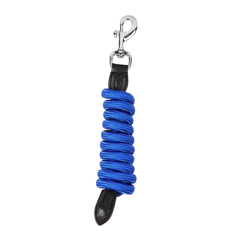Thumbnail: DUBLIN LEATHER ROPE LEAD 2M
