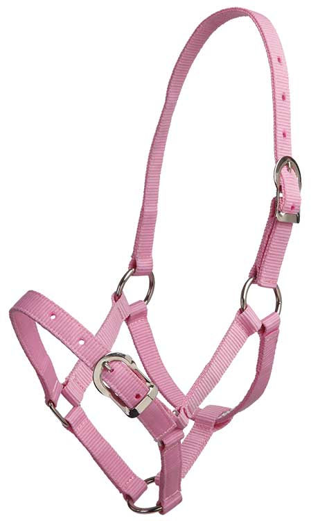 Thumbnail: ZILCO SMALL PONY HALTER