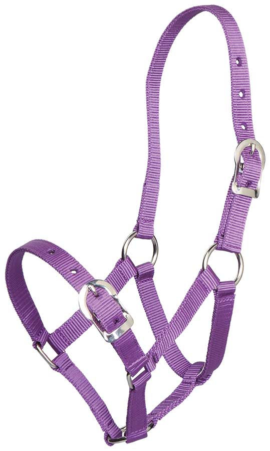 Thumbnail: ZILCO SMALL PONY HALTER
