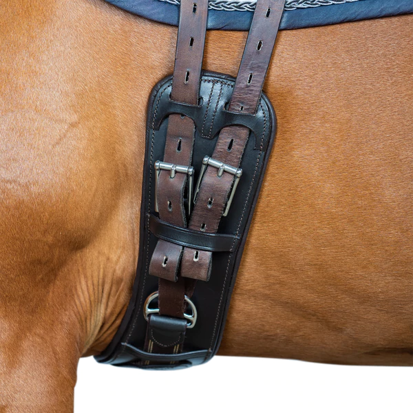 Thumbnail: FLEXIBLE FIT ANATOMICAL INBUILT ELASTIC DRESSAGE GIRTH